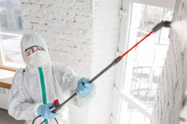 Best Emergency Mold Remediation  in Tahoe Vista, CA