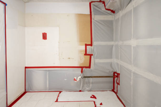 Best Mold Odor Removal Services  in Tahoe Vista, CA