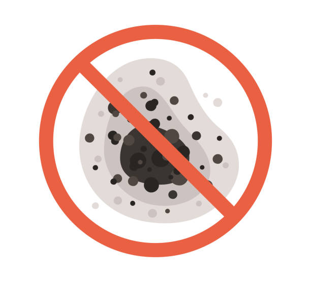 Best Basement Mold Removal  in Tahoe Vista, CA